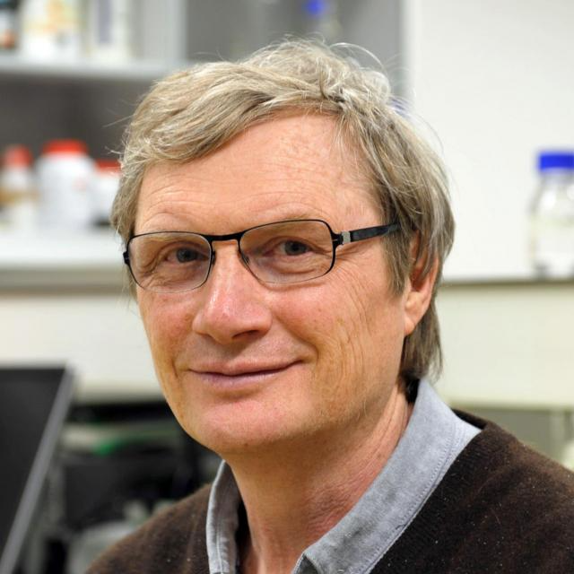 Alexander Panfilov