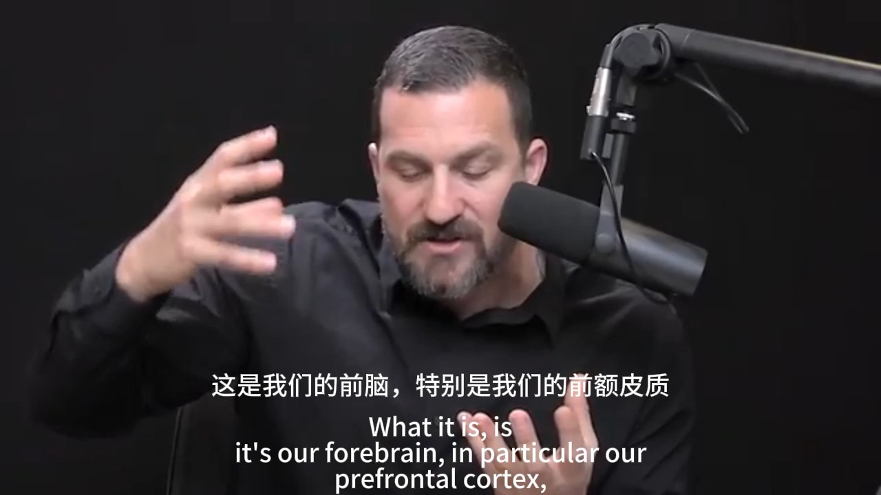安德鲁·休伯曼