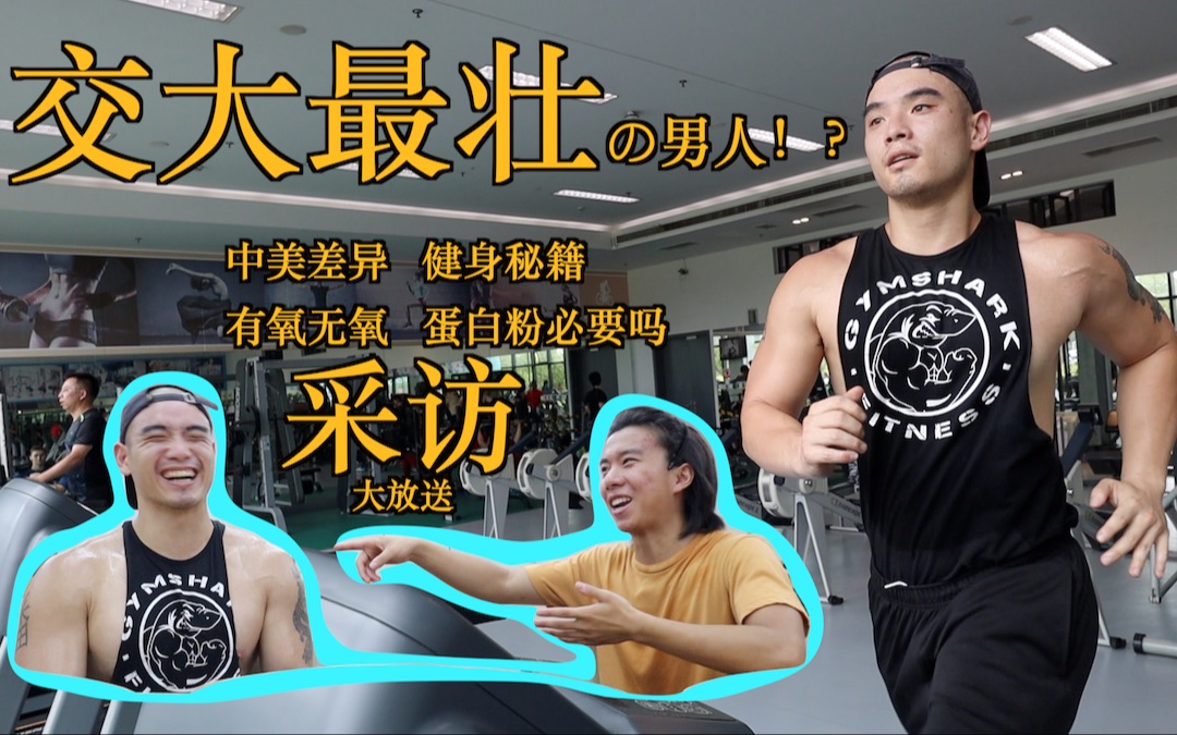 潘大卫
